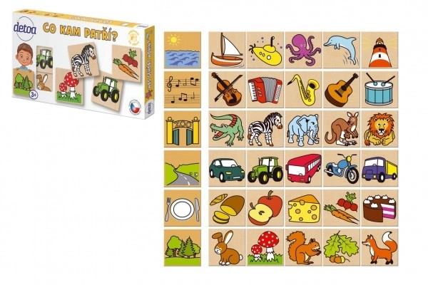 Didactisch spel - Waar hoort wat bij? 36 stukjes