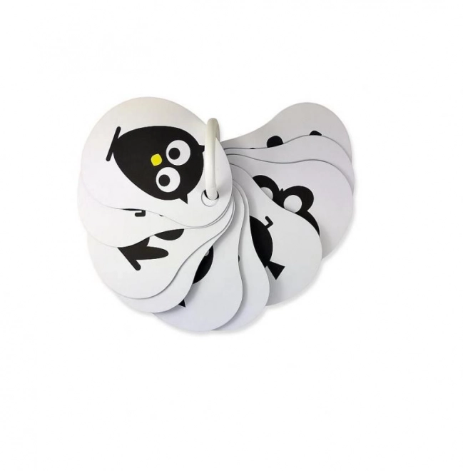 Contrasten voor baby’s herkenning voor de kleintjes 10 stuks