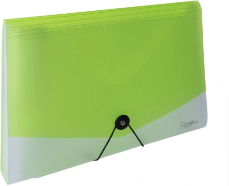 A4-documentenorganizer met elastieksluiting Opaline transparant-groen