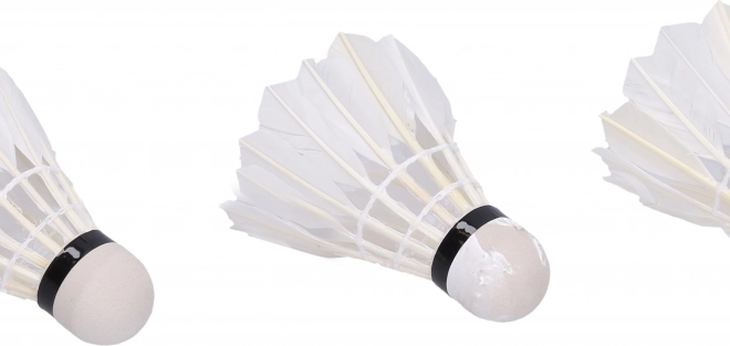 Badminton shuttles wit