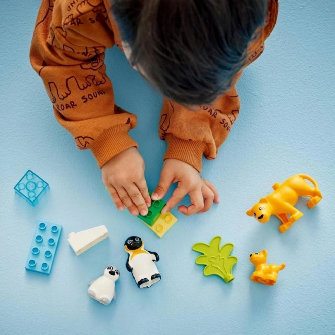 Lego Duplo Wilde Dierenfamilies: Pinguïns en Leeuwen