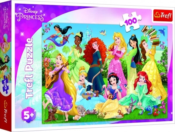 Puzzel Betoverende prinsessen/Disney 100 stukjes 41x27,5cm in doos 29x19x4cm