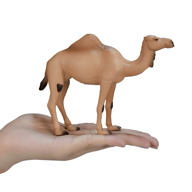 Mojo Animal Planet Dromedaris