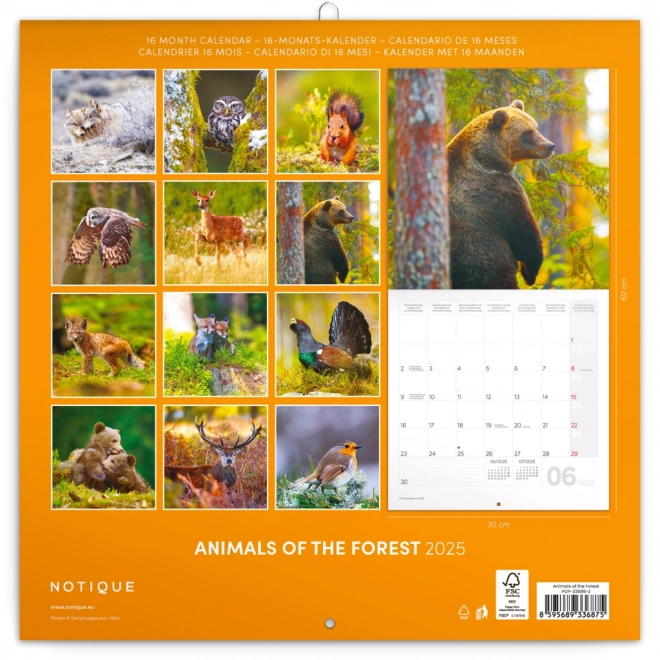 NOTIQUE Notitiekalender Bosdieren 2025, 30 x 30 cm