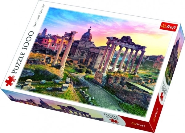 Puzzel Rome 1000 stukjes in doos 40x27x6cm