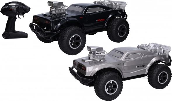 RC-auto op afstandsbediening 48 cm
