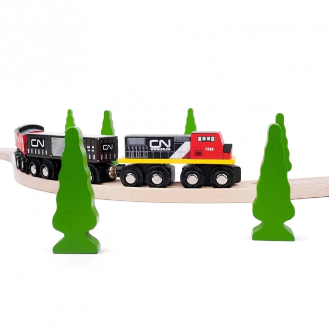 CN Trein locomotief Canadese Spoorwegen