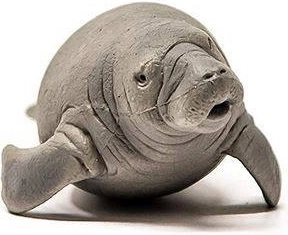 Compacte afmetingen voor eenvoudige hantering