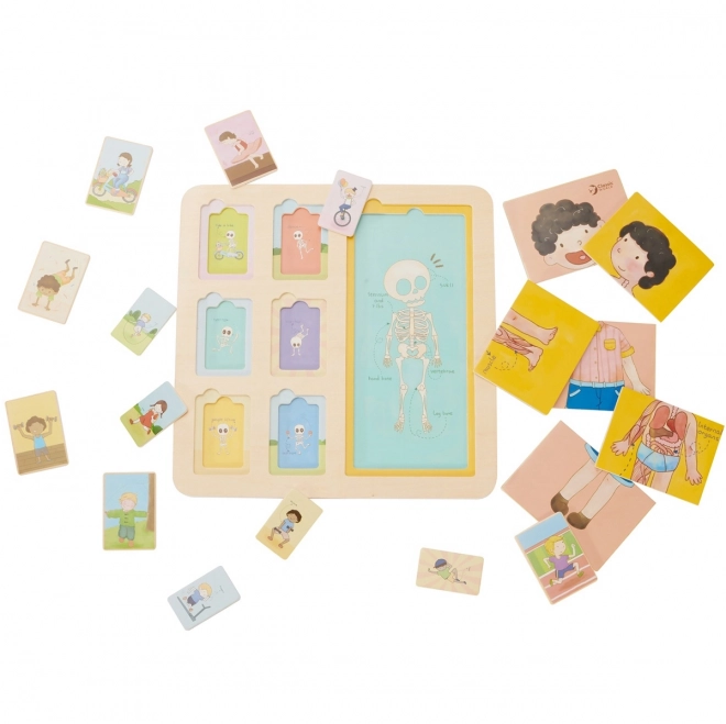 Houten puzzel - Menselijk lichaam