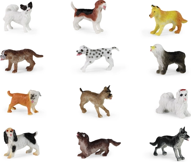 12 verschillende rassen in één set