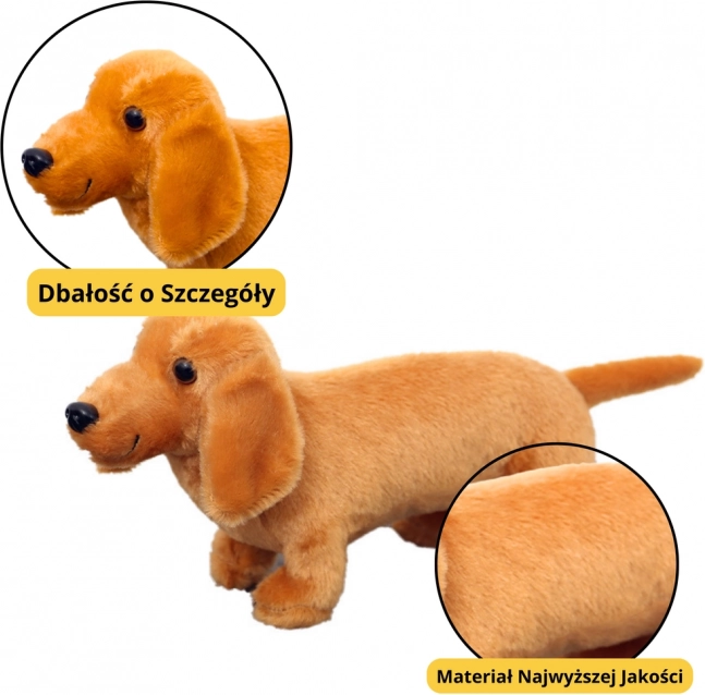 Pluchen speelgoedhond Teckel Lichtbruin 25 cm