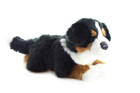 Pluche Berner Sennenhond 40 cm