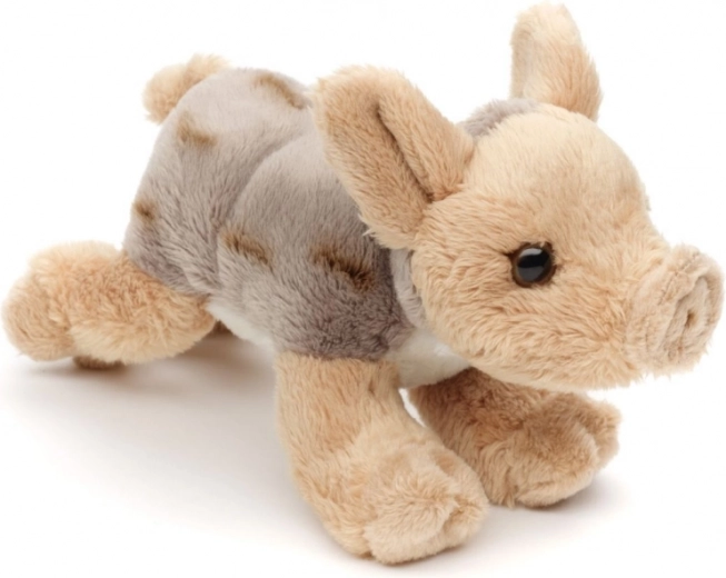 Licht en ideaal voor op reis