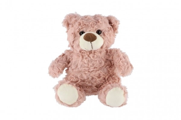 Roze pluche teddybeer 22 cm