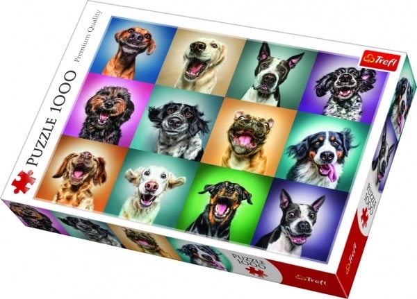 Puzzel Grappige hondenportretten – 1000 stukjes