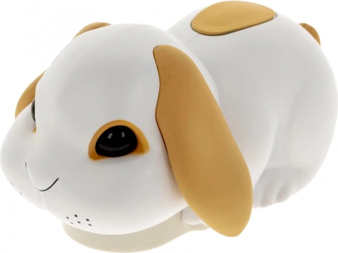 Een ondeugend konijntje dat de pret in beweging zet