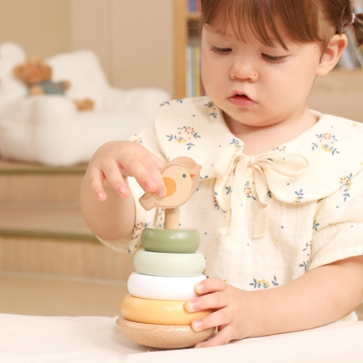 Ontwikkeling van motoriek en logisch denken