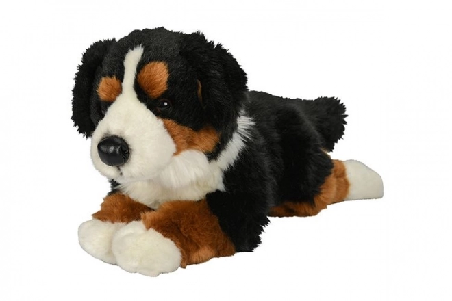 Pluche Berner Sennenhond 40 cm