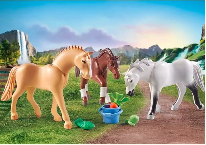 Horses Waterval - set van drie paarden