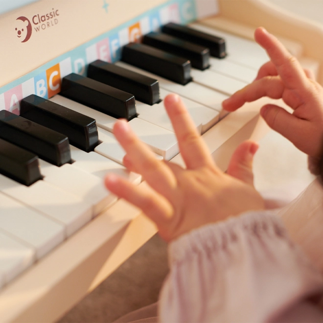 Klassieke Wereld Kinder Muziekpiano met Boekje