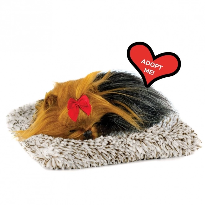 Perfecte kleine York puppy knuffel