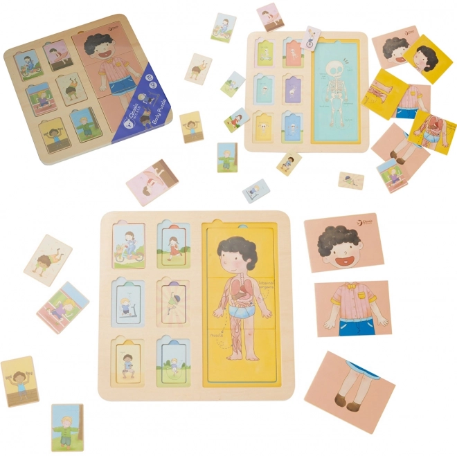 Houten puzzel - Menselijk lichaam