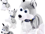 Interactieve pluchen husky met geluiden en trucs bij aanraking