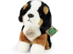 Pluchen Berner Sennenhond