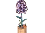 3D houten puzzel sering ROWOOD