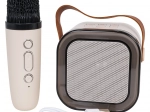 Karaoke-set met draadloze microfoon en draagbare Bluetooth-luidspreker met RGB