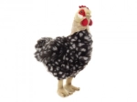 Pluchen kip met ei 35 cm