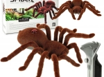 race spin tarantula op afstandsbediening met knipperende ogen