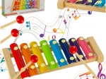 Houten kleurrijke xylofoontjes voor kinderen