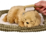 Adopteer een ademend Golden Retriever-puppy