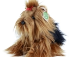 Pluchen Yorkshireterriër zittend Eco-Friendly 23 cm