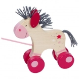 Paardje Lilia om mee te trekken aan een touwtje