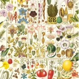 Puzzel Botanische zaligheid 1000 stukjes