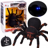 RC-tarantula – realistische op afstand bestuurbare spin