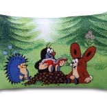 Kussen Mol Lezer 45x30