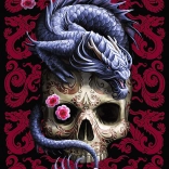 TREFL premium plus puzzel – oosterse draak (1000 stukjes)