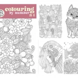 Schilderen op nummer A4 met duo-kleurpotloden