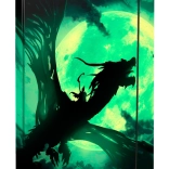 Mappen voor A4-schoolschriften met drakenmotief BAAGL