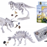 Set voor het opgraven en assembleren van dinosauriër skeletten