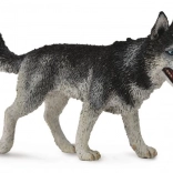 Collecta Siberische husky – figuur