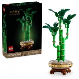 LEGO Botanicals 10344 Bamboe geluk