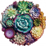 EscapeWelt houten puzzel Succulenten 200 stukjes
