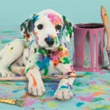 Puzzel 500 stukjes Grappige Dalmatiër