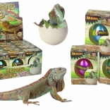 Magisch uitkomend ei – groeiende hagedis 6 cm