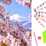 Diamanten schilderij set met kersenbloesem motief