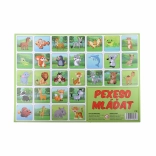 Pexeso Jong Dieren